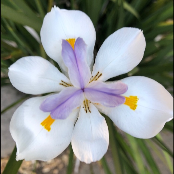 Meet your Posher, Gwen! - Picture 7 of 8